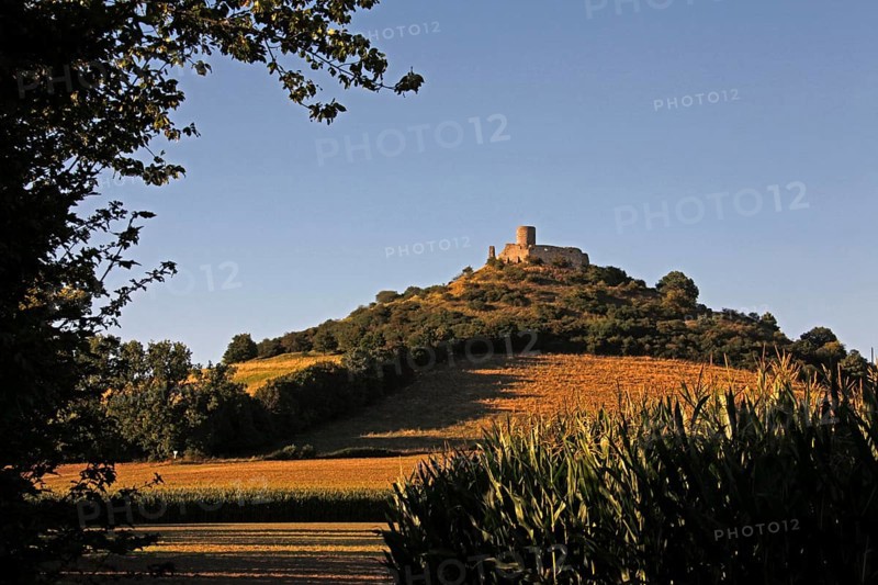 Desenberg Castle Ruin