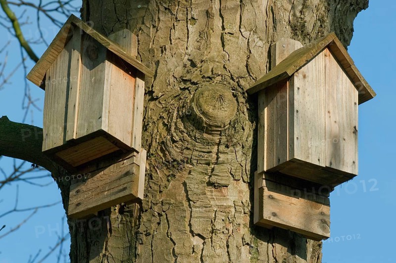 Bat boxes