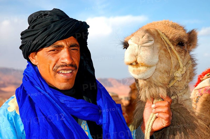 Man with dromedary camel
