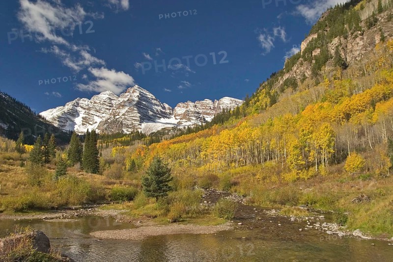 Aspen Trees in Autumn Colour Maroon Bells