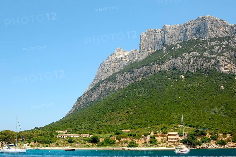 Tavolara Island