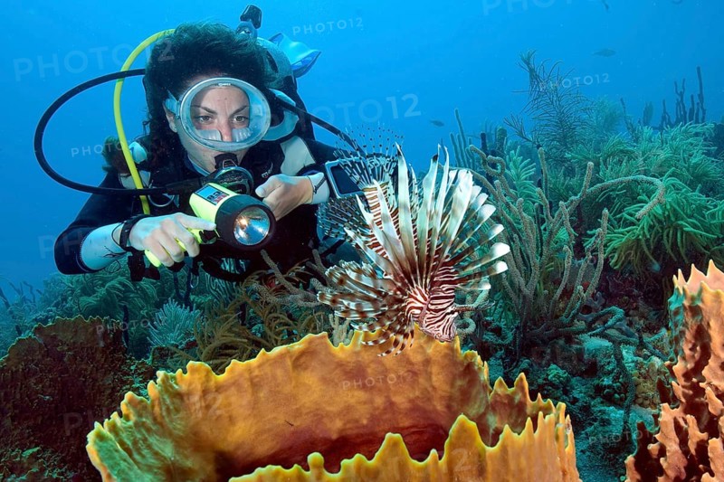 Diver and lionfish Isla pacific red lionfish