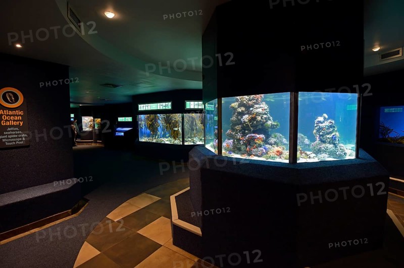 Interior of the 2 Ocean Aquarium