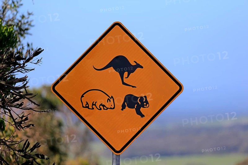 Traffic sign