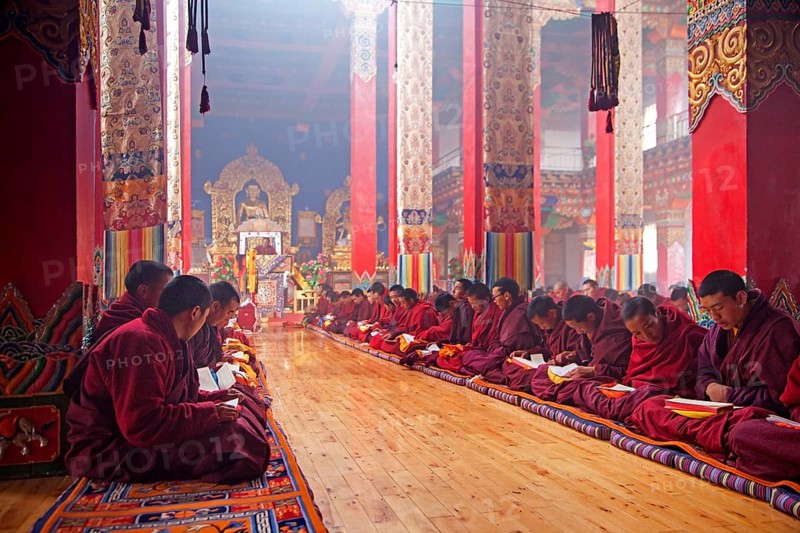 Young Tibetan monks say mantras and meditate at Dzogchen Gompa