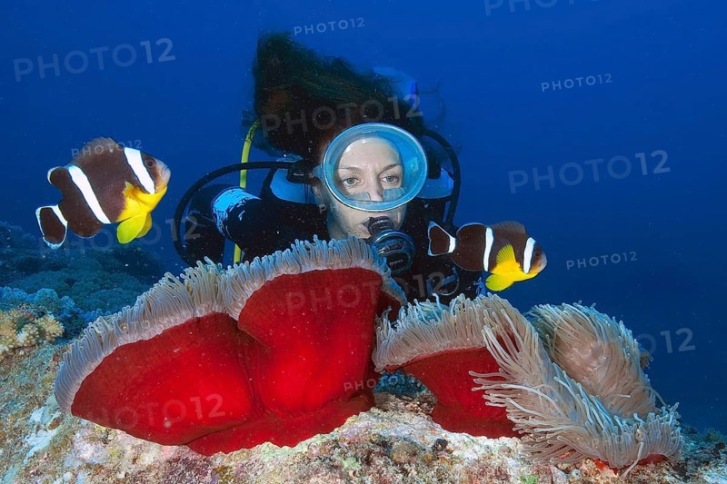 Diver and Mauritius Anemonefish