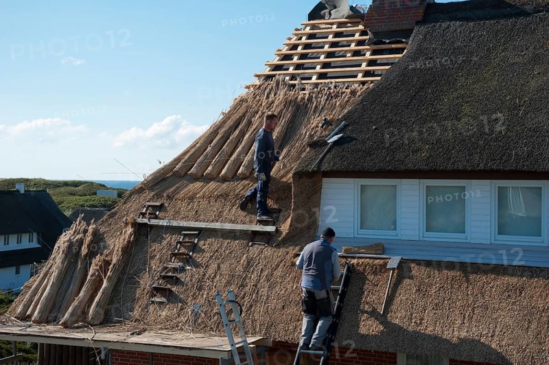 Thatching