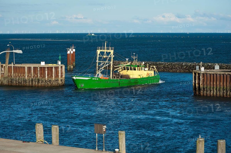 Harbour