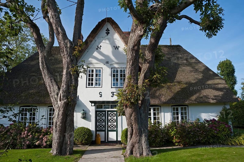 Thatched house