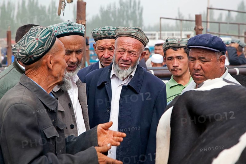 Uyghur farmers wearing doppas trade cows at the cattle market in Kashgar