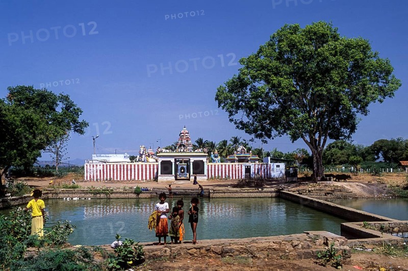 Ayyanar tempe with a tank and a Peepal tree