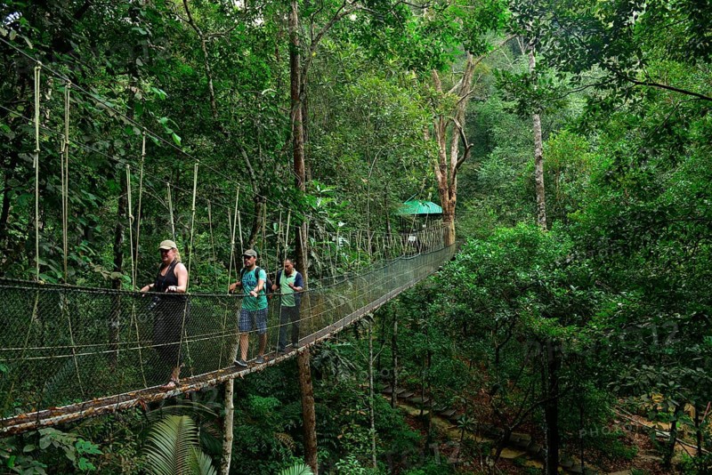 Taman Negara National Park