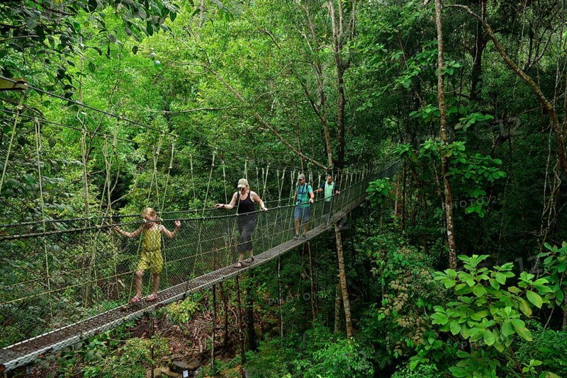 Taman Negara National Park