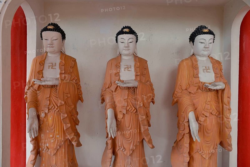 Buddha statues