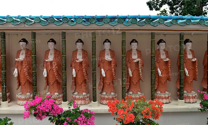 Buddha statues