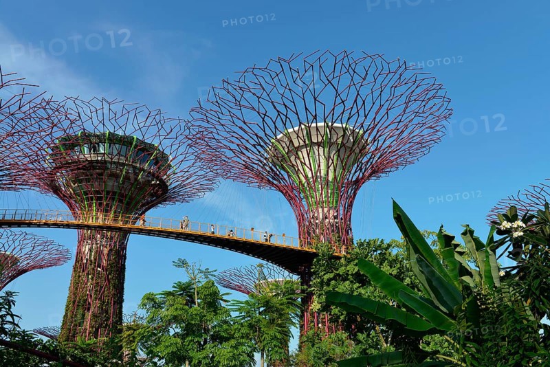 Gardens by the Bay