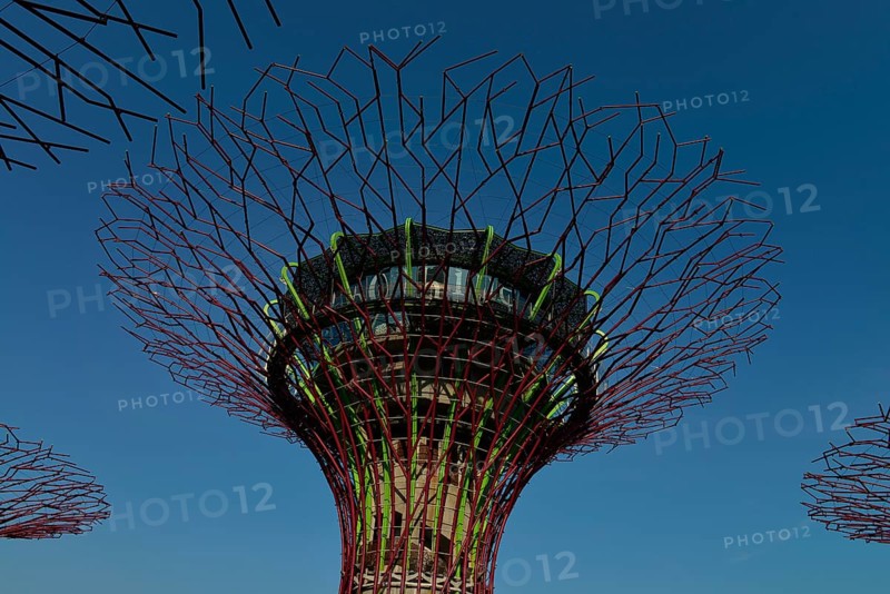 Gardens by the Bay
