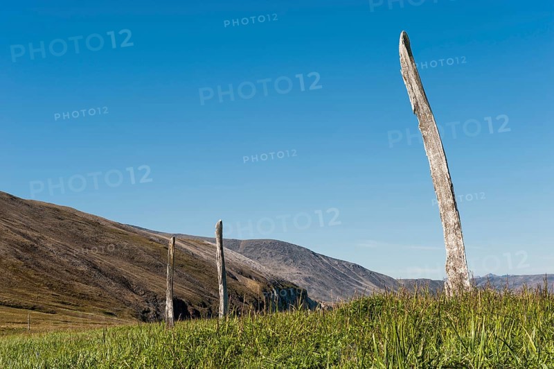 Whale Bone Avenue