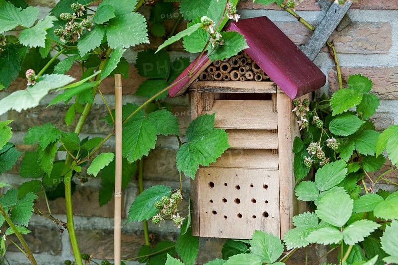Insect hotel