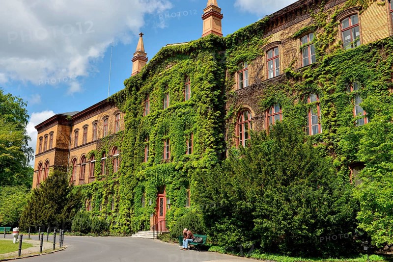 Main building