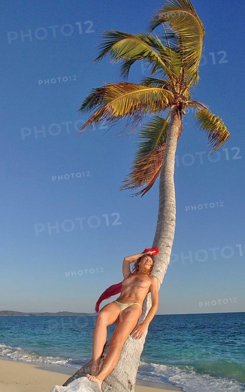 Woman leaning against coconut palm