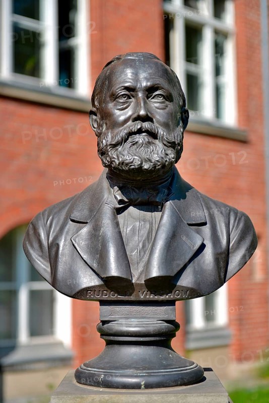 Bust of Rudolf Virchow