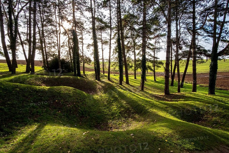 Shell craters and entrenchments in Sheffield Memorial Park