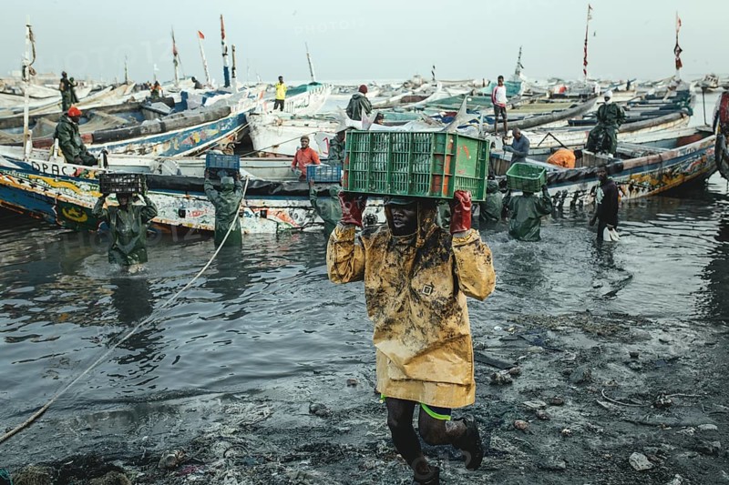 Unloading the catch at the port