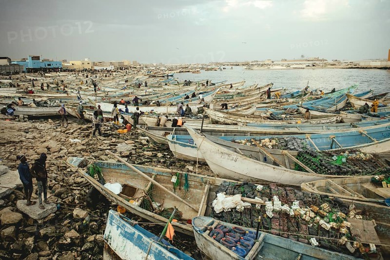 About 7000 fishing boats moored in the harbour