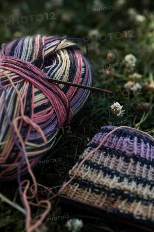 Knitted piece with knitting needles in a meadow