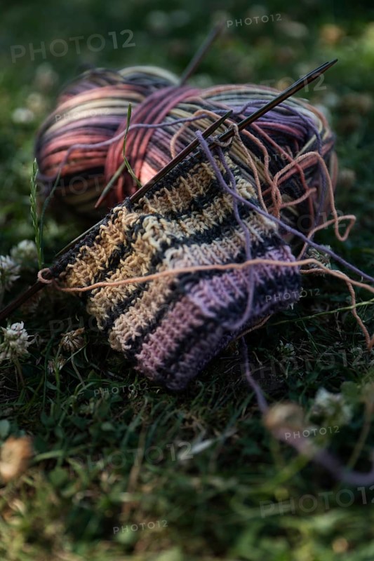Knitted piece with knitting needles in a meadow