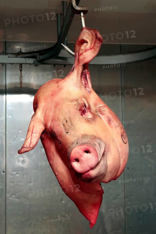 Pork
