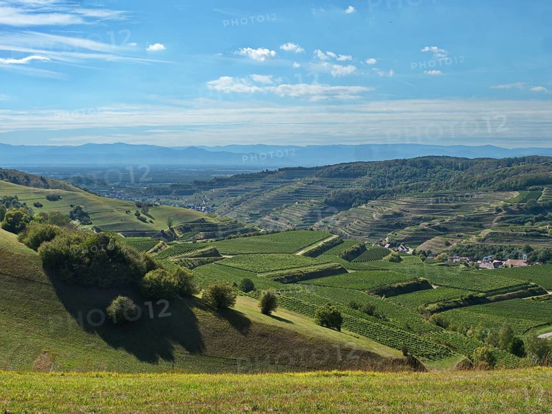 View from the Neunlindenpfad