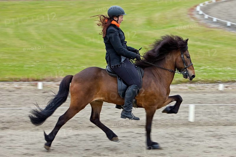 Rider in the toelt on an domestic horse