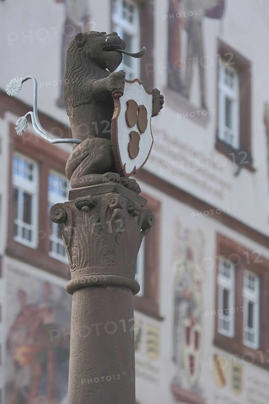 Detail of the fountain with town coat of arms at the market place in Schiltach