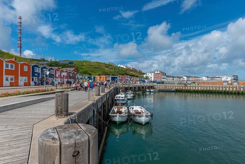 Colourful lobster stalls