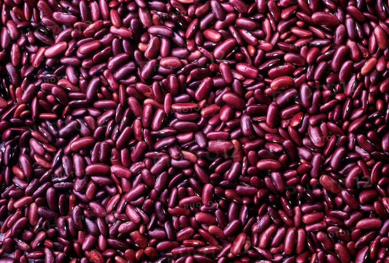 Dark red kidney beans or Rajma kaaramani erra beans oil seeds scattered on full frame