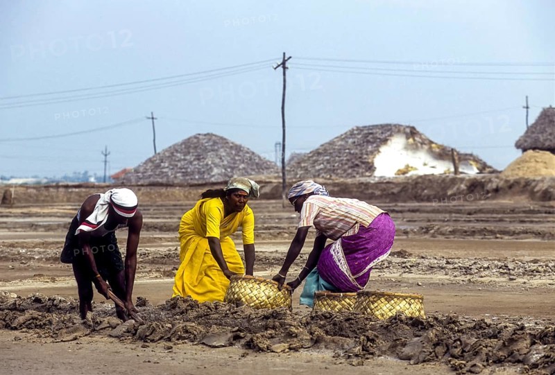 Workers in salt pan at Thoothukudi Tuticorin