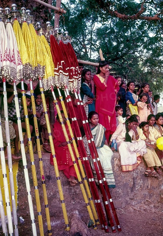 Spectators and colourful umbrellas in Pooram festival in Thrissur Trichur