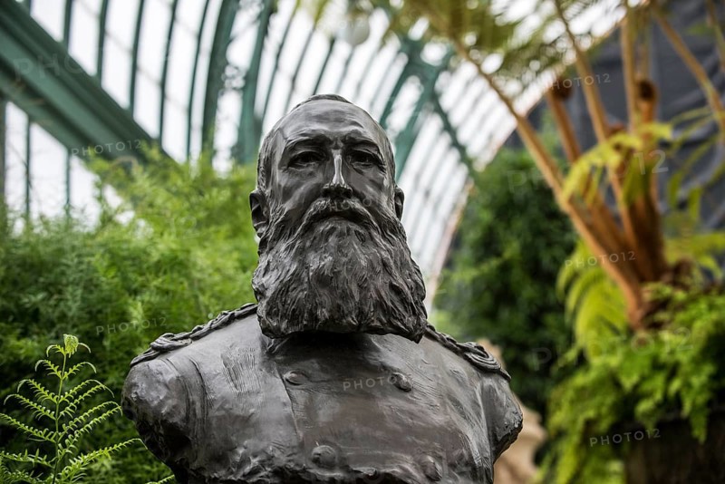 Bust of Leopold II