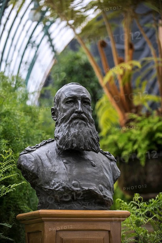 Bust of Leopold II