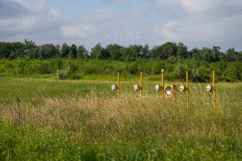 Wahner Heide