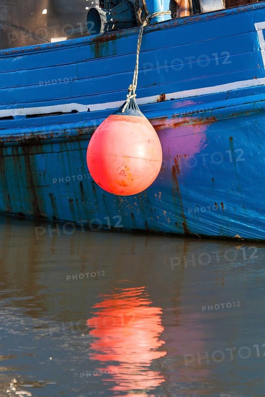 Crab cutter