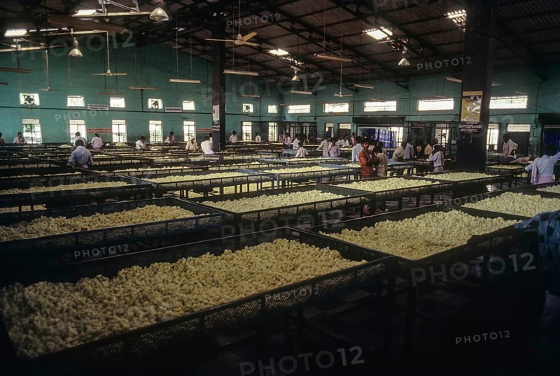 Government Cocoon Market at Ramanagaram