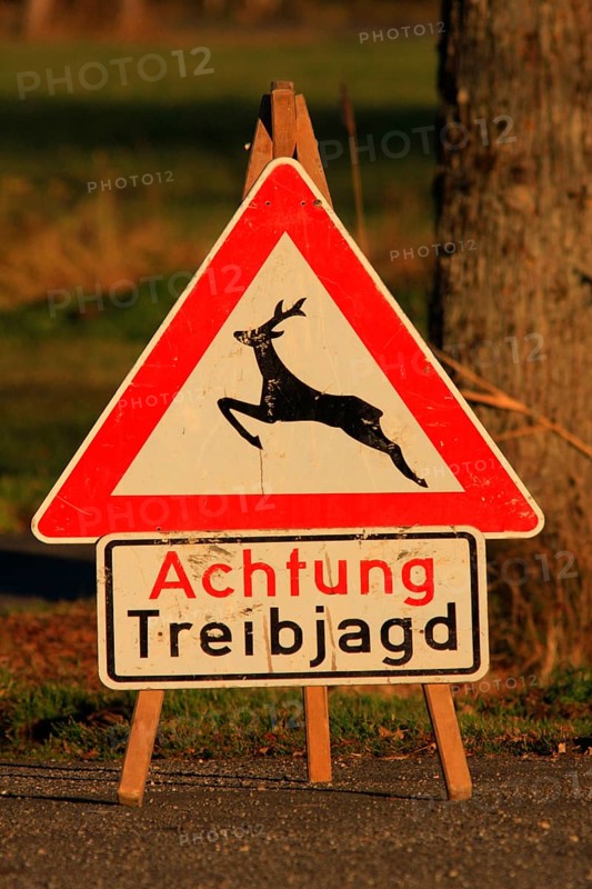 Driven hunt
