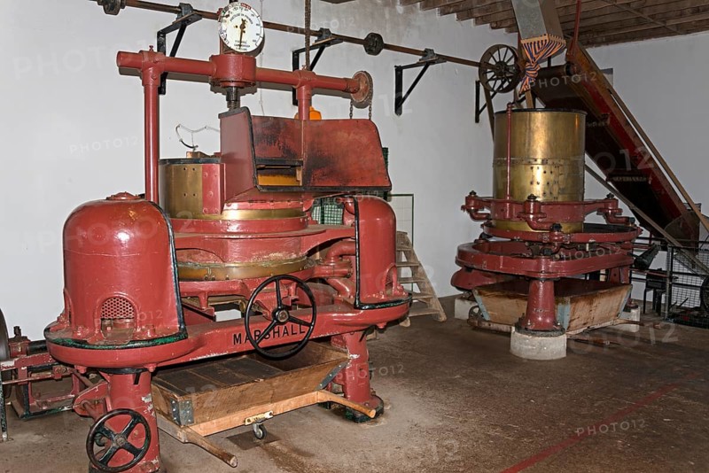 Tea Factory