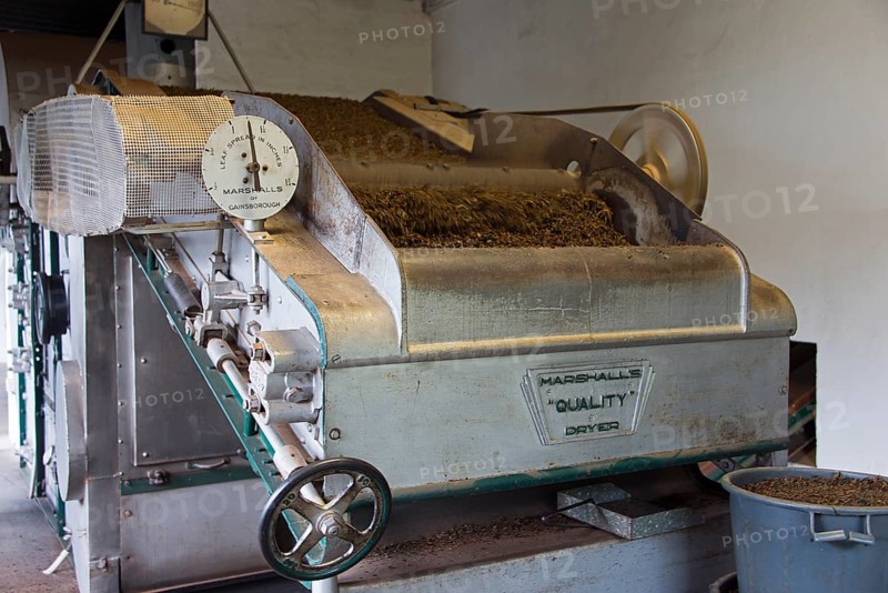 Tea Factory