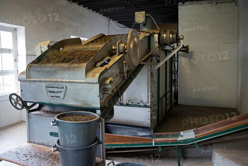 Tea Factory