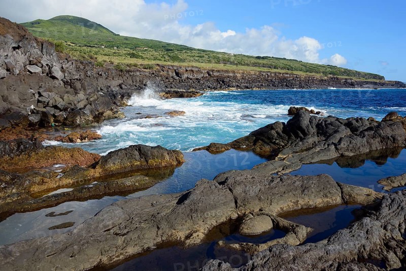 Coast at the harbour