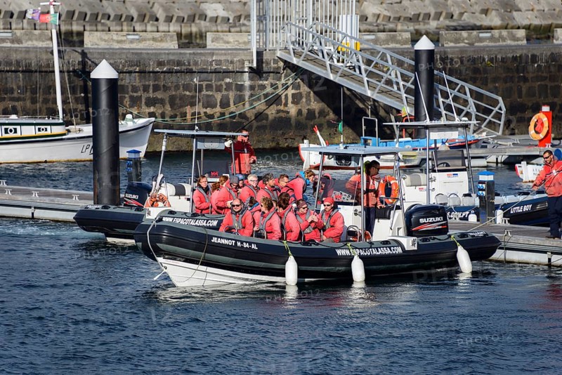 Whale watching boat